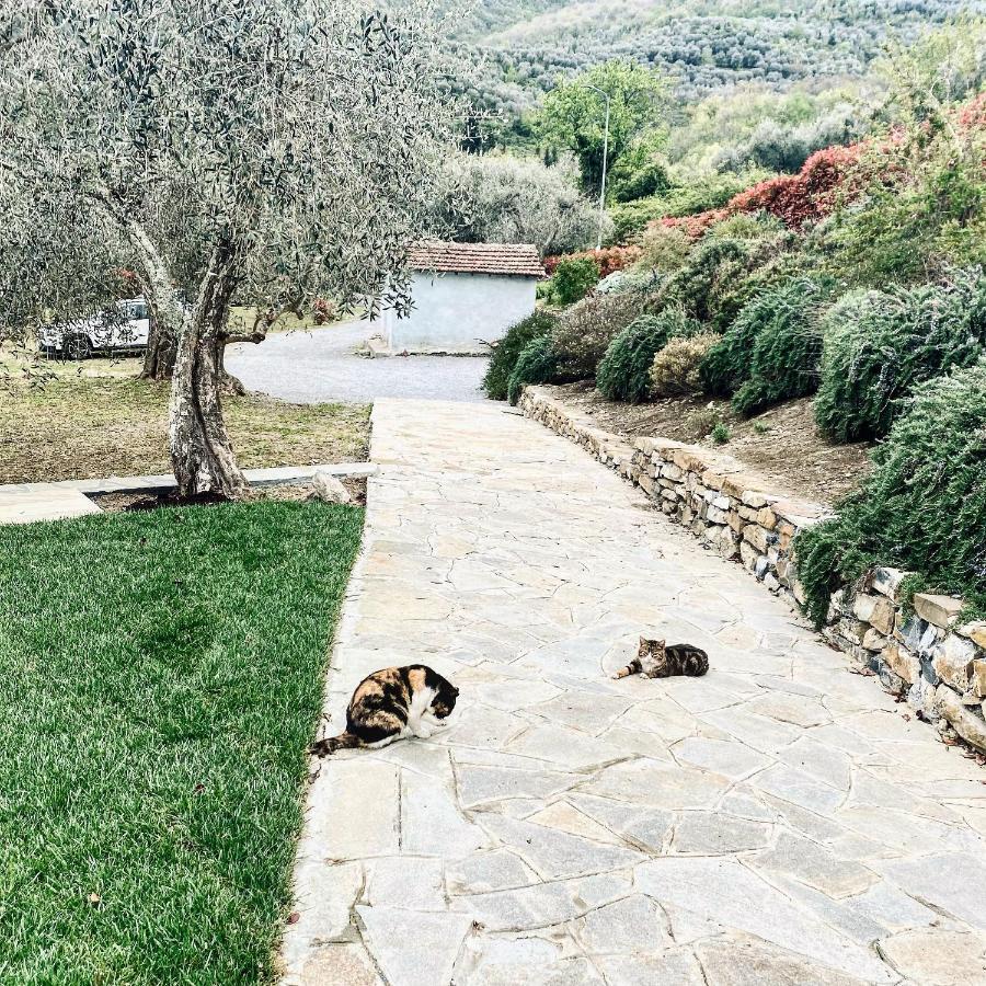 Casa Vacanze Gli Ulivi Borgomaro Exterior foto