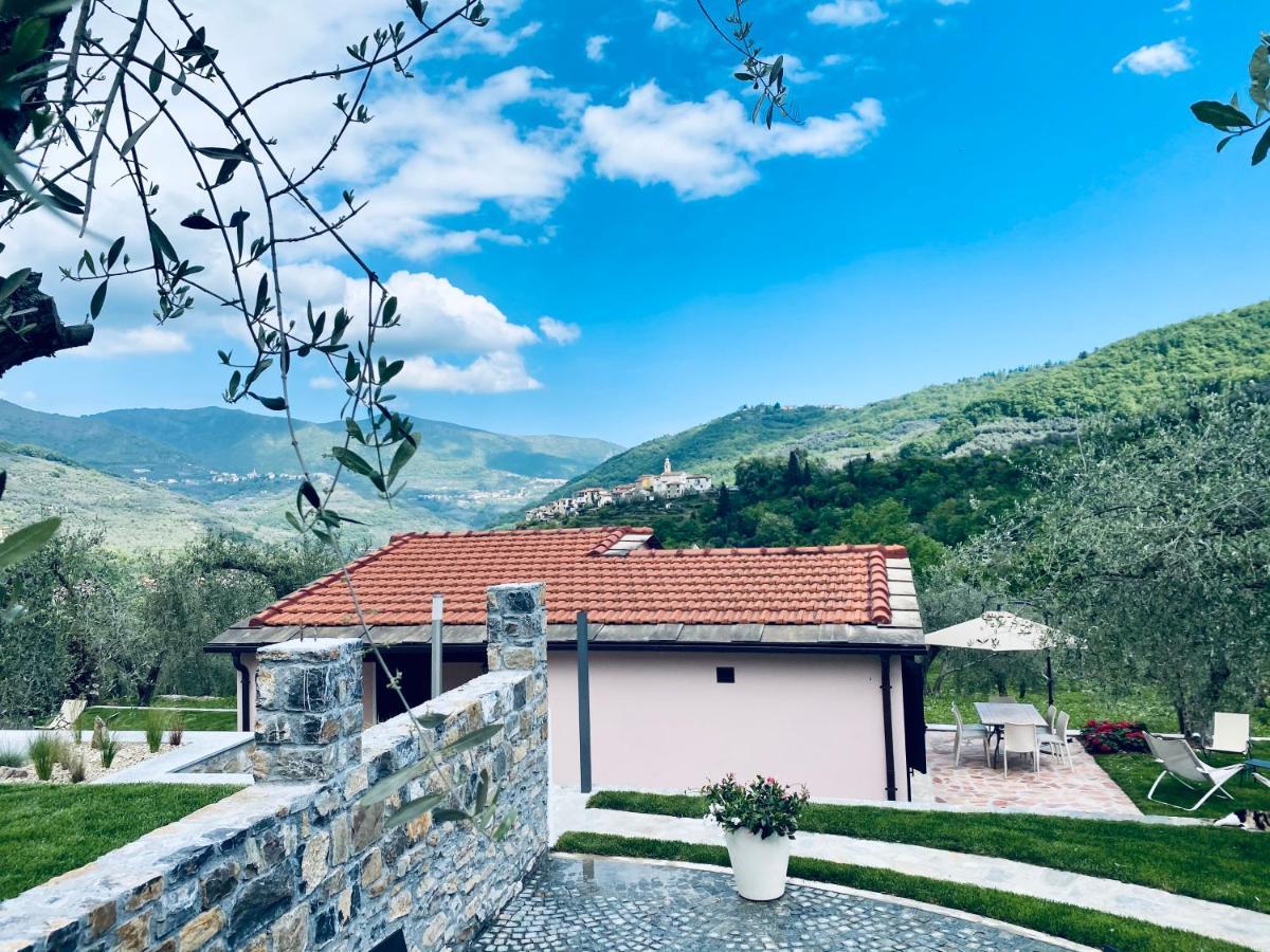 Casa Vacanze Gli Ulivi Borgomaro Exterior foto