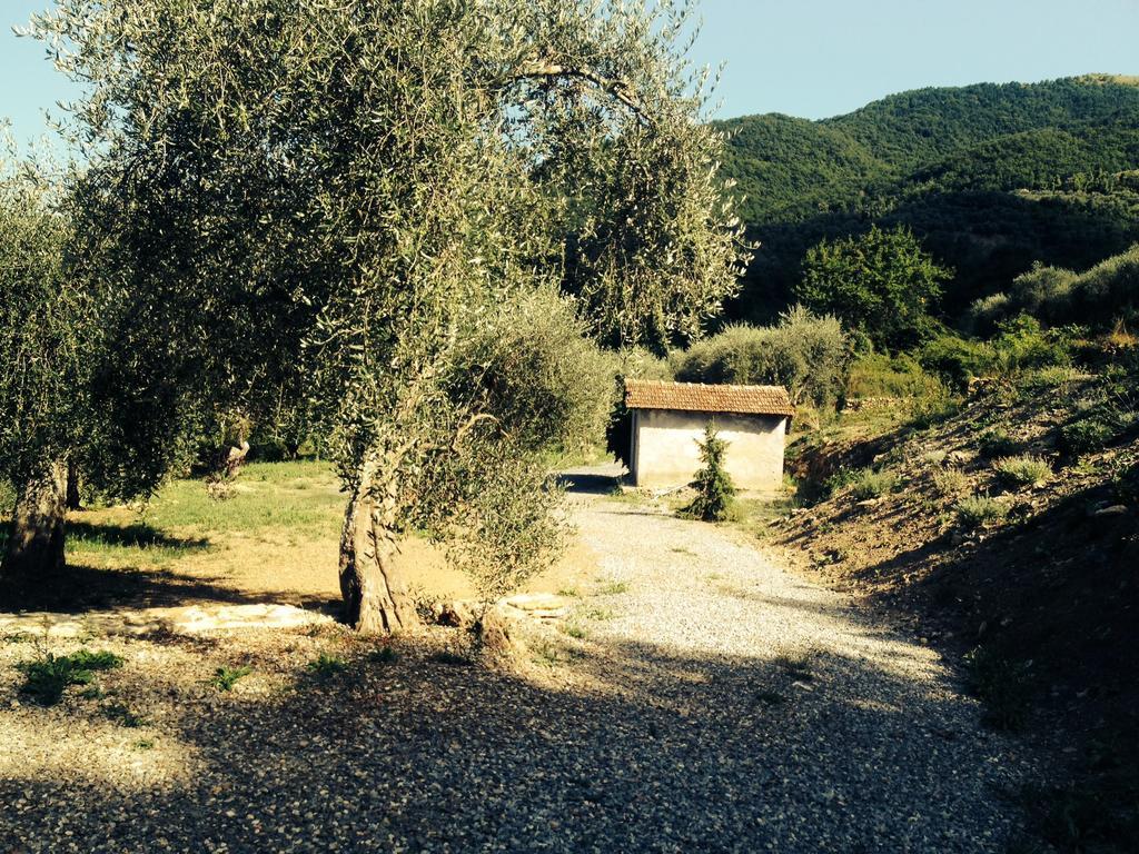 Casa Vacanze Gli Ulivi Borgomaro Quarto foto