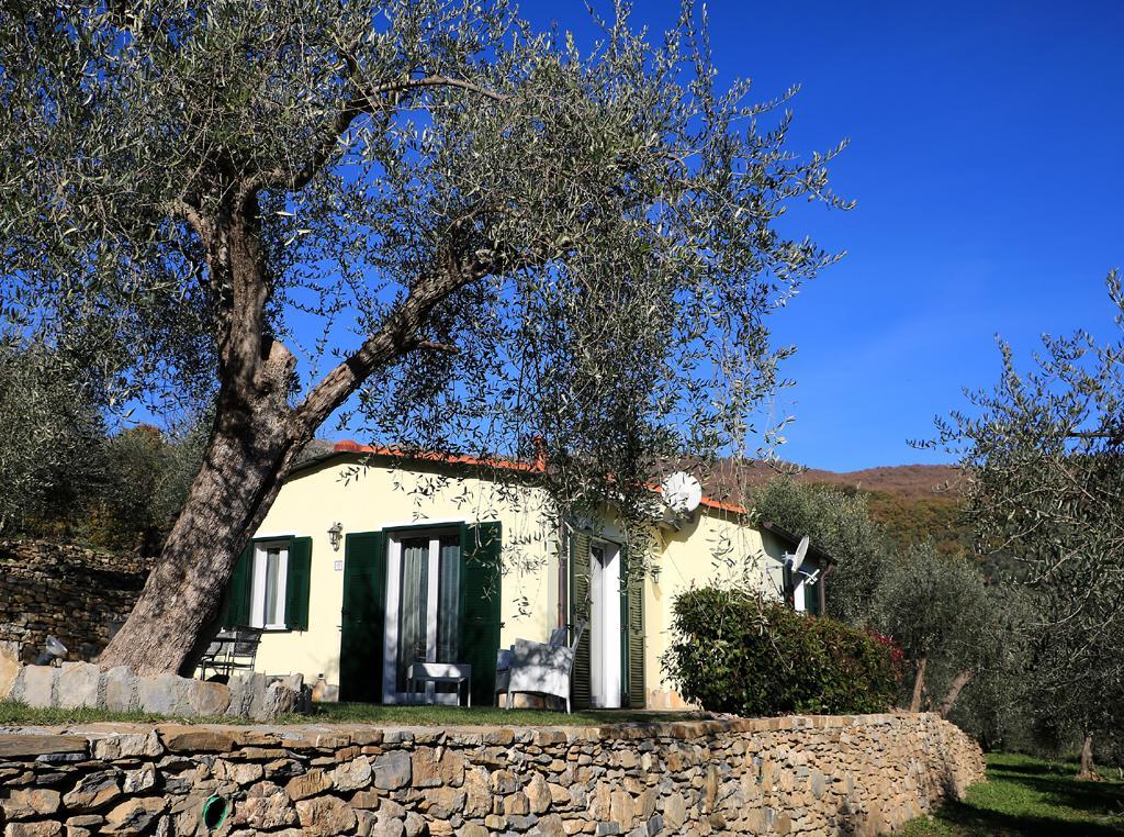 Casa Vacanze Gli Ulivi Borgomaro Exterior foto